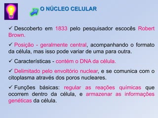 O NÚCLEO CELULAR
 Descoberto em 1833 pelo pesquisador escocês Robert
Brown.
 Posição - geralmente central, acompanhando o formato
da célula, mas isso pode variar de uma para outra.
 Características - contém o DNA da célula.
 Delimitado pelo envoltório nuclear, e se comunica com o
citoplasma através dos poros nucleares.
 Funções básicas: regular as reações químicas que
ocorrem dentro da célula, e armazenar as informações
genéticas da célula.
 