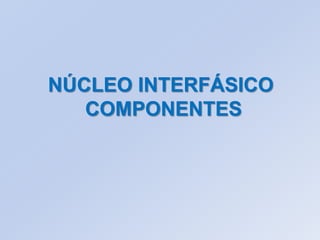 NÚCLEO INTERFÁSICO
COMPONENTES
 