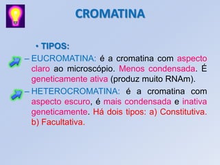 CROMATINA
• TIPOS:
– EUCROMATINA: é a cromatina com aspecto
claro ao microscópio. Menos condensada. É
geneticamente ativa (produz muito RNAm).
– HETEROCROMATINA: é a cromatina com
aspecto escuro, é mais condensada e inativa
geneticamente. Há dois tipos: a) Constitutiva.
b) Facultativa.
 