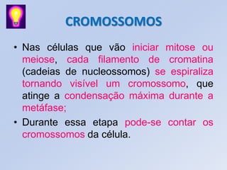 CROMOSSOMOS
• Nas células que vão iniciar mitose ou
meiose, cada filamento de cromatina
(cadeias de nucleossomos) se espiraliza
tornando visível um cromossomo, que
atinge a condensação máxima durante a
metáfase;
• Durante essa etapa pode-se contar os
cromossomos da célula.
 