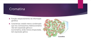 Cromatina 
 Função: empacotamento da informação 
genética 
 Caracterizas: estado menos condensado 
que nos cromossomos; heterocromatina 
não tem expressão gênica e 
eucromatina, ainda menos empacotada, 
tem expressão gênica 
 