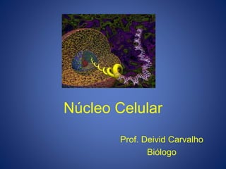 Núcleo Celular
Prof. Deivid Carvalho
Biólogo
 