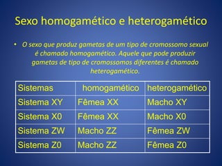 Sexo homogamético e heterogamético
• O sexo que produz gametas de um tipo de cromossomo sexual
é chamado homogamético. Aquele que pode produzir
gametas de tipo de cromossomos diferentes é chamado
heterogamético.
Sistemas homogamético heterogamético
Sistema XY Fêmea XX Macho XY
Sistema X0 Fêmea XX Macho X0
Sistema ZW Macho ZZ Fêmea ZW
Sistema Z0 Macho ZZ Fêmea Z0
 