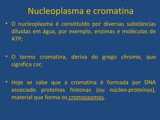 Nucleoplasma e cromatina
• O nucleoplasma é constituído por diversas substâncias
diluídas em água, por exemplo, enzimas e moléculas de
ATP;
• O termo cromatina, deriva do grego chroma, que
significa cor;
• Hoje se sabe que a cromatina é formada por DNA
associado proteínas histonas (ou núcleo-proteínas),
material que forma os cromossomos.
 