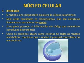 NÚCLEO CELULAR
1. Introdução
• O núcleo é um componente exclusivo de células eucariontes;
• Nele estão localizados os cromossomos, que são estruturas
filamentosas portadoras dos genes;
• Já os genes possuem as informações em código que comandam
a produção de proteínas;
• Como as proteínas atuam como enzimas de todas as reações
metabólicas, conclui-se que o núcleo é principal controlador do
metabolismo.
 
