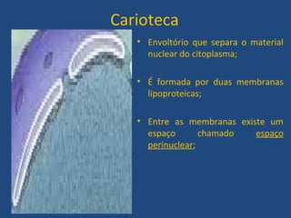 Carioteca
• Envoltório que separa o material
nuclear do citoplasma;
• É formada por duas membranas
lipoproteicas;
• Entre as membranas existe um
espaço chamado espaço
perinuclear;
 