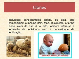 Clones
Indivíduos geneticamente iguais, ou seja, que
compartilham o mesmo DNA. Mas, atualmente o termo
clone, além do que já foi dito, também refere-se a
formação de indivíduos sem a necessidade de
fertilização.
 