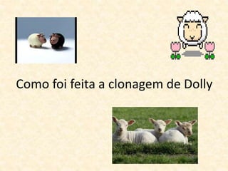 Como foi feita a clonagem de Dolly
 