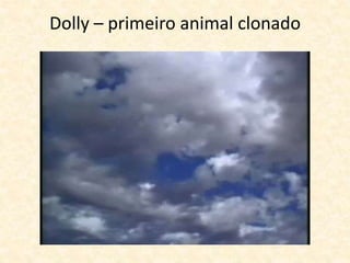 Dolly – primeiro mamífero clonado
 