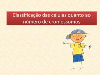 Classificação das células quanto ao
número de cromossomos
 