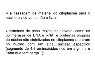  a passagem de material do citoplasma para o
núcleo e vice-versa não é livre;
proteínas de peso molecular elevado, como as
polimerases de DNA e RNA, e proteínas próprias
do núcleo são sintetizadas no citoplasma e entram
no núcleo com um sinal nuclear específico
(segmento de 4-8 aminoácidos rico em arginina e
lisina que tem carga +);
 