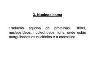 3. Nucleoplasma
• solução aquosa de proteínas, RNAs,
nucleosídeos, nucleotídeos, íons, onde estão
mergulhados os nucléolos e a cromatina.
 