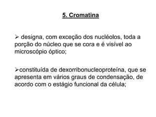 5. Cromatina
 designa, com exceção dos nucléolos, toda a
porção do núcleo que se cora e é visível ao
microscópio óptico;
constituída de dexorribonucleoproteína, que se
apresenta em vários graus de condensação, de
acordo com o estágio funcional da célula;
 