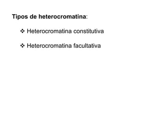 Tipos de heterocromatina:
 Heterocromatina constitutiva
 Heterocromatina facultativa
 