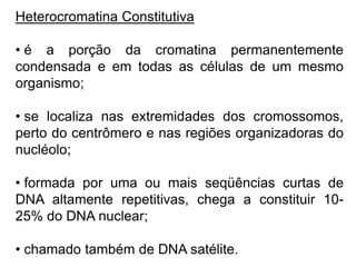 Heterocromatina Constitutiva
• é a porção da cromatina permanentemente
condensada e em todas as células de um mesmo
organismo;
• se localiza nas extremidades dos cromossomos,
perto do centrômero e nas regiões organizadoras do
nucléolo;
• formada por uma ou mais seqüências curtas de
DNA altamente repetitivas, chega a constituir 10-
25% do DNA nuclear;
• chamado também de DNA satélite.
 