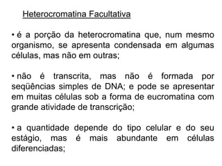 Heterocromatina Facultativa
• é a porção da heterocromatina que, num mesmo
organismo, se apresenta condensada em algumas
células, mas não em outras;
• não é transcrita, mas não é formada por
seqüências simples de DNA; e pode se apresentar
em muitas células sob a forma de eucromatina com
grande atividade de transcrição;
• a quantidade depende do tipo celular e do seu
estágio, mas é mais abundante em células
diferenciadas;
 