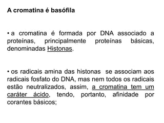 A cromatina é basófila
• a cromatina é formada por DNA associado a
proteínas, principalmente proteínas básicas,
denominadas Histonas.
• os radicais amina das histonas se associam aos
radicais fosfato do DNA, mas nem todos os radicais
estão neutralizados, assim, a cromatina tem um
caráter ácido, tendo, portanto, afinidade por
corantes básicos;
 