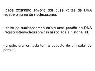 • cada octâmero envolto por duas voltas de DNA
recebe o nome de nucleossoma;
• entre os nucleossomas existe uma porção de DNA
(região internucleossômica) associada à histona H1.
• a estrutura formada tem o aspecto de um colar de
pérolas;
 