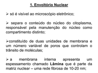 1. Envoltório Nuclear
 só é visível ao microscópio eletrônico;
 separa o conteúdo do núcleo do citoplasma,
responsável pela manutenção do núcleo como
compartimento distinto;
constituído de duas unidades de membrana e
um número variável de poros que controlam o
trânsito de moléculas;
 a membrana interna apresenta um
espessamento chamado Lâmina que é parte da
matriz nuclear – uma rede fibrosa de 10-20 nm;
 