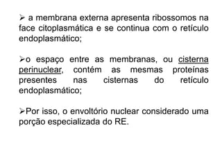  a membrana externa apresenta ribossomos na
face citoplasmática e se continua com o retículo
endoplasmático;
o espaço entre as membranas, ou cisterna
perinuclear, contém as mesmas proteínas
presentes nas cisternas do retículo
endoplasmático;
Por isso, o envoltório nuclear considerado uma
porção especializada do RE.
 