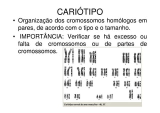CARIÓTIPO
• Organização dos cromossomos homólogos em
pares, de acordo com o tipo e o tamanho.
• IMPORTÂNCIA: Verificar se há excesso ou
falta de cromossomos ou de partes de
cromossomos.
 