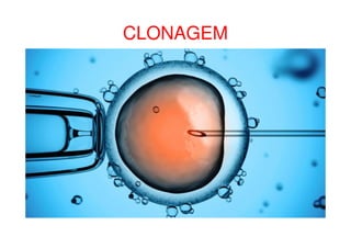 CLONAGEM
 