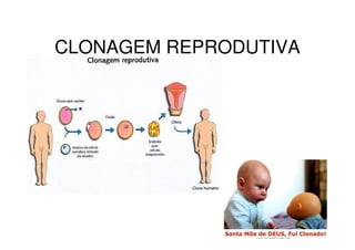 CLONAGEM REPRODUTIVA
 
