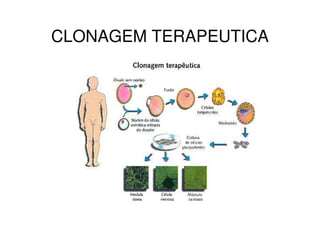 CLONAGEM TERAPEUTICA
 