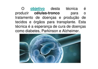 O objetivo desta técnica é
produzir células-tronco para o
tratamento de doenças e produção de
tecidos e órgãos para transplante. Esta
técnica é a esperança de cura de doenças
como diabetes, Parkinson e Alzheimer.
 