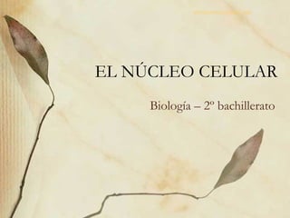 EL NÚCLEO CELULAR Biología – 2º bachillerato [email_address] 