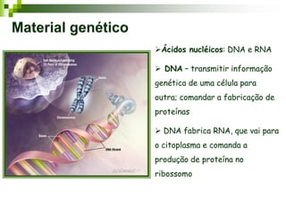 Ácidos nucléicos: DNA e RNA
 DNA – transmitir informação
genética de uma célula para
outra; comandar a fabricação de
proteínas
 DNA fabrica RNA, que vai para
o citoplasma e comanda a
produção de proteína no
ribossomo
 