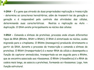 DNA – É o gene que através de duas propriedades replicação e transcrição
- determina os caracteres hereditários, além de transmiti-los de geração a
geração e é responsável pelo controle das atividades das células,
determinando suas características. Realiza a replicação ou Auto -
duplicação. O DNA existe principalmente no núcleo das células.
RNA - Comanda a síntese de proteínas, processo onde atuam diferentes
tipos de RNA (RNAm, RNAt e RNAr). O RNA é sintetizado no núcleo, acaba
migrando para o citoplasma. O RNAm (mensageiro) produzido diretamente a
partir do DNA, durante o processo de transcrição e comanda a síntese de
proteínas. O RNAt (transportador) é o menor RNA da célula e desempenha a
função de capturar aminoácidos, transportado-os em seguida para o RNAm,
que se encontra associado aos ribossomos. O RNAr (ribossômico) é o RNA de
cadeia mais longa, se associa a proteínas, formando os ribossomos. Logo, tem
função estrutural.
 