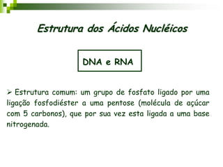 DNA e RNA
 Estrutura comum: um grupo de fosfato ligado por uma
ligação fosfodiéster a uma pentose (molécula de açúcar
com 5 carbonos), que por sua vez esta ligada a uma base
nitrogenada.
Estrutura dos Ácidos Nucléicos
 