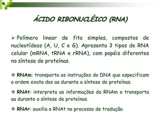 ÁCIDO RIBONUCLÉICO (RNA)
 Polímero linear de fita simples, compostos de
nucleotídeos (A, U, C e G). Apresenta 3 tipos de RNA
celular (mRNA, tRNA e rRNA), com papéis diferentes
na síntese de proteínas.
 RNAm: transporta as instruções do DNA que especificam
a ordem exata dos aa durante a síntese de proteínas.
 RNAt: interpreta as informações do RNAm e transporta
aa durante a síntese de proteínas.
 RNAr: auxilia o RNAt no processo de tradução.
 