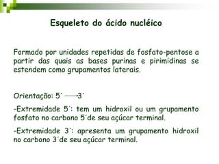 Esqueleto do ácido nucléico
Formado por unidades repetidas de fosfato-pentose a
partir das quais as bases purinas e pirimidinas se
estendem como grupamentos laterais.
Orientação: 5´ 3´
-Extremidade 5´: tem um hidroxil ou um grupamento
fosfato no carbono 5´de seu açúcar terminal.
-Extremidade 3´: apresenta um grupamento hidroxil
no carbono 3´de seu açúcar terminal.
 