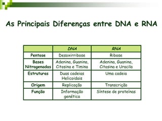 As Principais Diferenças entre DNA e RNA
DNA RNA
Pentose Desoxirribose Ribose
Bases
Nitrogenadas
Adenina, Guanina,
Citosina e Timina
Adenina, Guanina,
Citosina e Uracila
Estruturas Duas cadeias
Helicoidais
Uma cadeia
Origem Replicação Transcrição
Função Informação
genética
Síntese de proteínas
 