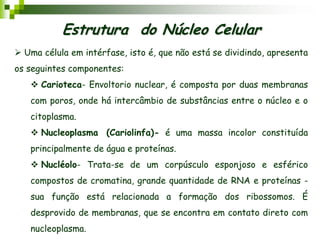 Estrutura do Núcleo Celular
 Uma célula em intérfase, isto é, que não está se dividindo, apresenta
os seguintes componentes:
 Carioteca- Envoltorio nuclear, é composta por duas membranas
com poros, onde há intercâmbio de substâncias entre o núcleo e o
citoplasma.
 Nucleoplasma (Cariolinfa)- é uma massa incolor constituída
principalmente de água e proteínas.
 Nucléolo- Trata-se de um corpúsculo esponjoso e esférico
compostos de cromatina, grande quantidade de RNA e proteínas -
sua função está relacionada a formação dos ribossomos. É
desprovido de membranas, que se encontra em contato direto com
nucleoplasma.
 