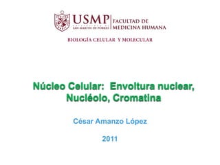Núcleo Celular: Envoltura nuclear,
      Nucléolo, Cromatina

        César Amanzo López

               2011
 