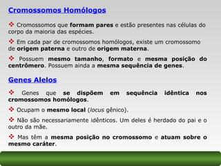 Cromossomos Homólogos
 Cromossomos que formam pares e estão presentes nas células do
corpo da maioria das espécies.
 Em cada par de cromossomos homólogos, existe um cromossomo
de origem paterna e outro de origem materna.
 Possuem mesmo tamanho, formato e mesma posição do
centrômero. Possuem ainda a mesma sequência de genes.
Genes Alelos
 Genes que se dispõem em sequência idêntica nos
cromossomos homólogos.
 Ocupam o mesmo local (locus gênico).
 Não são necessariamente idênticos. Um deles é herdado do pai e o
outro da mãe.
 Mas têm a mesma posição no cromossomo e atuam sobre o
mesmo caráter.
 