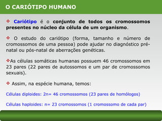 O CARIÓTIPO HUMANO
 Cariótipo é o conjunto de todos os cromossomos
presentes no núcleo da célula de um organismo.
 O estudo do cariótipo (forma, tamanho e número de
cromossomos de uma pessoa) pode ajudar no diagnóstico pré-
natal ou pós-natal de aberrações genéticas.
As células somáticas humanas possuem 46 cromossomos em
23 pares (22 pares de autossomos e um par de cromossomos
sexuais).
 Assim, na espécie humana, temos:
Células diploides: 2n= 46 cromossomos (23 pares de homólogos)
Células haploides: n= 23 cromossomos (1 cromossomo de cada par)
 