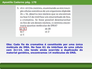 Apostila Caderno pág. 170
Obs: Cada fio da cromatina é constituído por uma única
molécula de DNA. Na fase G1 da intérfase de uma célula
com 2n=14, não tendo ainda ocorrido a duplicação do
material genético, encontramos 14 moléculas de DNA.
 