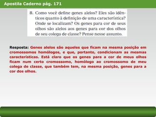 Apostila Caderno pág. 171
Resposta: Genes alelos são aqueles que ficam na mesma posição em
cromossomos homólogos, e que, portanto, condicionam as mesmas
características. Está claro que os genes para a cor de meus olhos
ficam num certo cromossomo, homólogo ao cromossomo de meu
colega de classe, que também tem, na mesma posição, genes para a
cor dos olhos.
 