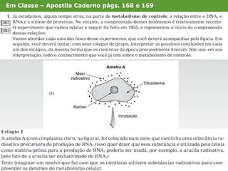 Em Classe – Apostila Caderno págs. 168 e 169
 