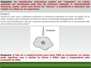 Resposta: As substâncias radioativas podem ser “seguidas’’ na célula,
podendo ser localizadas pelo fato de emitirem radiação. A radioatividade
funciona, assim, como uma forma de “marcar’’ a substância e descobrir seu
trajeto na célula ou no organismo.
Resposta: O fato de a matéria-prima para fazer RNA se concentrar no núcleo
pode significar que o núcleo (e talvez o DNA) seja o responsável pela
produção de RNA.
 