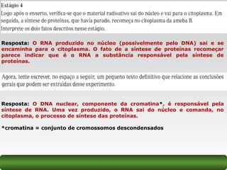 Resposta: O RNA produzido no núcleo (possivelmente pelo DNA) sai e se
encaminha para o citoplasma. O fato de a síntese de proteínas recomeçar
parece indicar que é o RNA a substância responsável pela síntese de
proteínas.
Resposta: O DNA nuclear, componente da cromatina*, é responsável pela
síntese de RNA. Uma vez produzido, o RNA sai do núcleo e comanda, no
citoplasma, o processo de síntese das proteínas.
*cromatina = conjunto de cromossomos descondensados
 