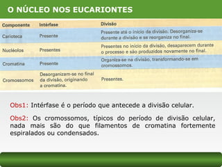 O NÚCLEO NOS EUCARIONTES
Obs1: Intérfase é o período que antecede a divisão celular.
Obs2: Os cromossomos, típicos do período de divisão celular,
nada mais são do que filamentos de cromatina fortemente
espiralados ou condensados.
 