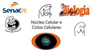 Núcleo Celular e
Ciclos Celulares
 