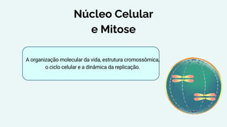 Estrutura e Função do Núcleo Celular, Mitose e Síntese de Proteínas | PDF