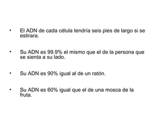 •   El ADN de cada célula tendría seis pies de largo si se
    estirara.


•   Su ADN es 99.9% el mismo que el de la persona que
    se sienta a su lado.


•   Su ADN es 90% igual al de un ratón.


•   Su ADN es 60% igual que el de una mosca de la
    fruta.
 
