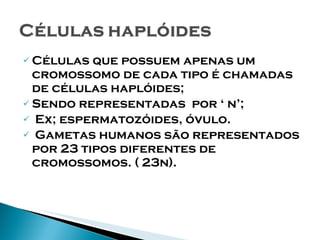 Células que possuem apenas um cromossomo de cada tipo é chamadas de células haplóides; Sendo representadas  por ‘ n’;  Ex; espermatozóides, óvulo. Gametas humanos são representados por 23 tipos diferentes de cromossomos. ( 23n).  